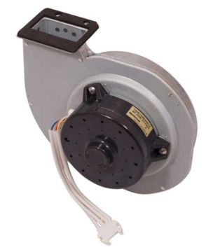 A.O. Smith 100076360 Fan Motor