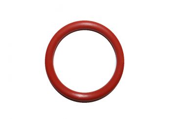 A.O. Smith 100076551 O-Ring