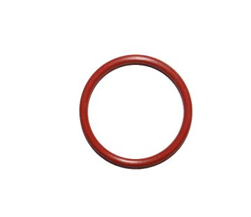 A.O. Smith 100076553 O-Ring