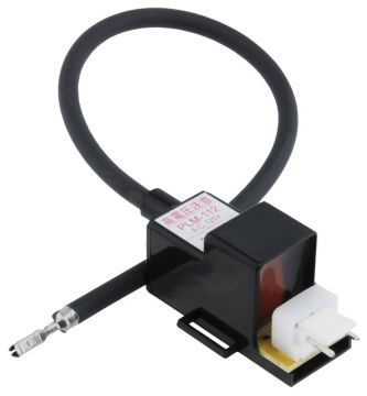 Rheem-Ruud RTG20164U Ignitor Coil