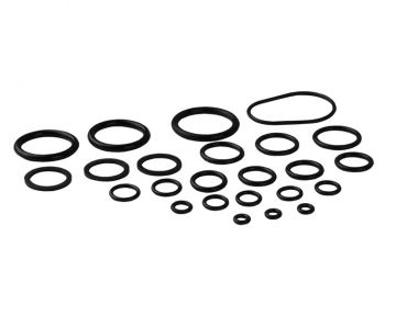 Rheem-Ruud RTG20206 O-Ring Kit
