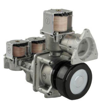 Rheem-Ruud RTG20212C Gas Valve Assembly