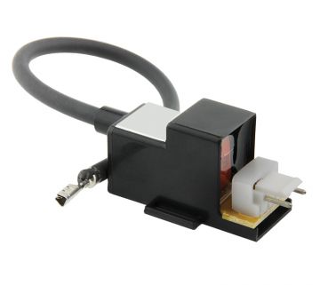 Rheem-Ruud RTG20235BC Ignitor Coil